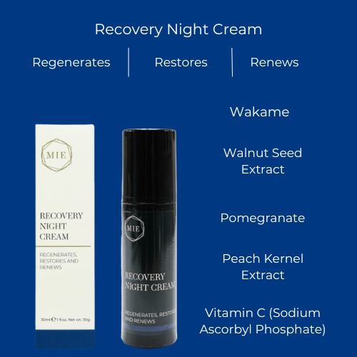 Recovery Night Cream